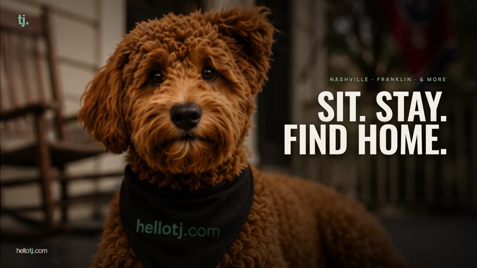 Sit. Stay. Find home. brand campaign