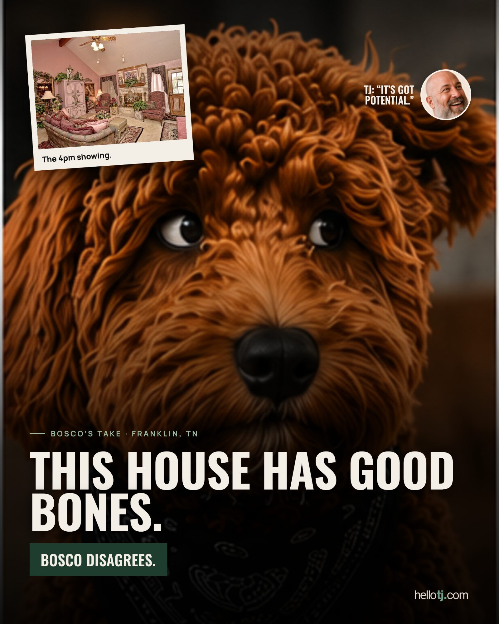 Bosco disagrees post